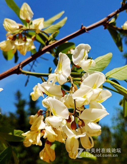 2019.5.24爬老虎沟