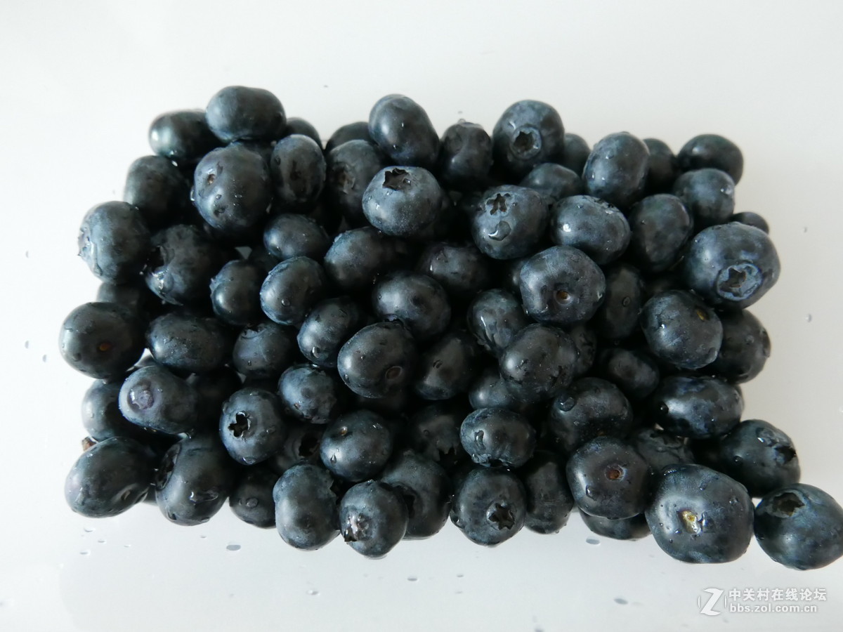 菜鸟级别多多提出意见 谢谢