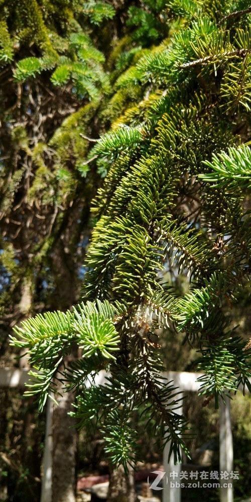 2019.5.24爬老虎沟