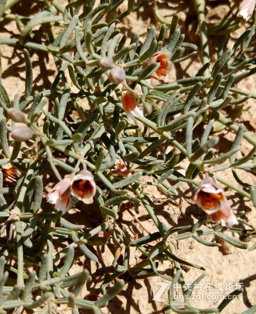 2019.5.24爬老虎沟