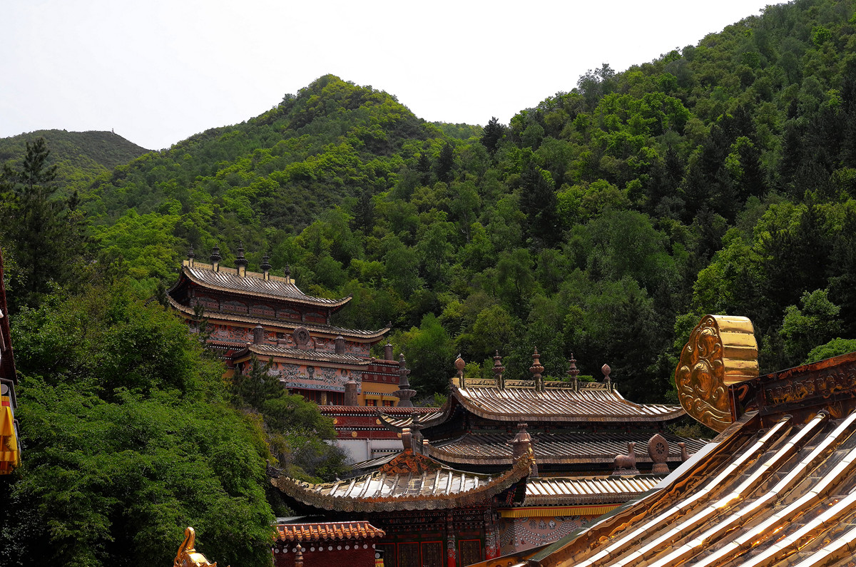 印象——兰州石佛沟（2）