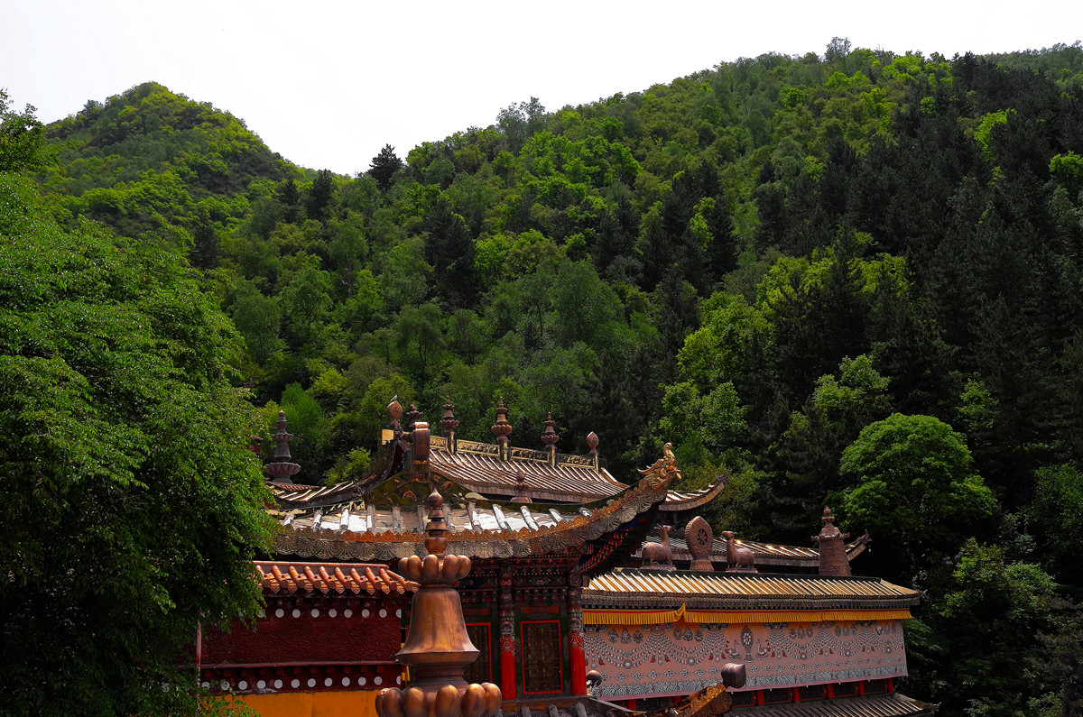 印象——兰州石佛沟（2）