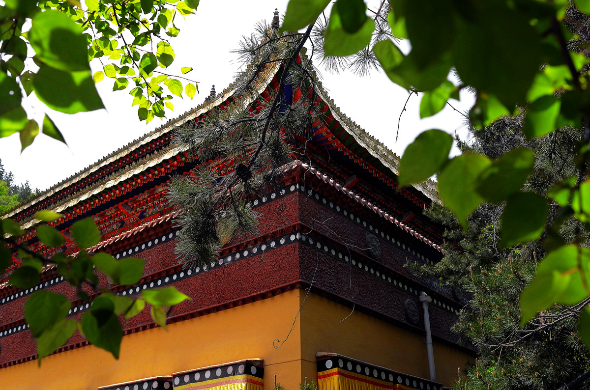 印象——兰州石佛沟（2）