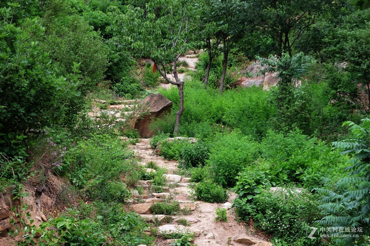 风和日丽的晴朗天气……