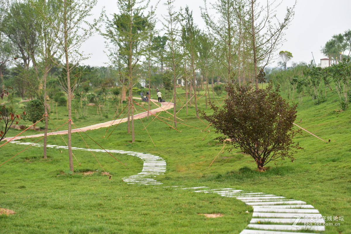 D750试拍，无后期。