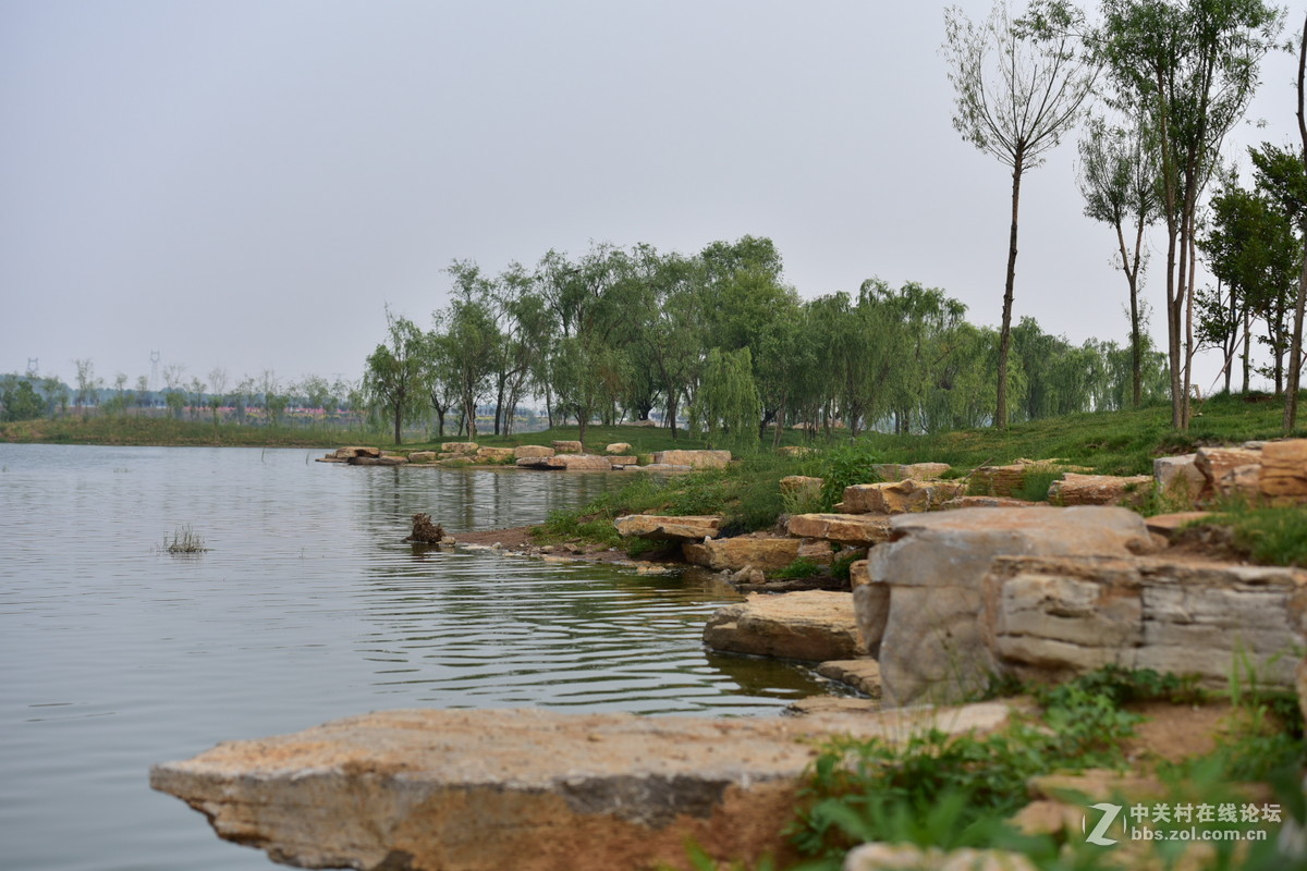 D750试拍，无后期。