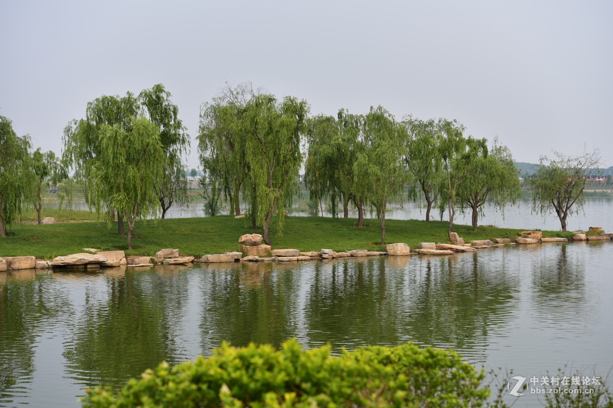 D750试拍，无后期。