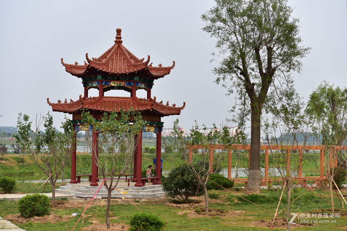 D750试拍，无后期。