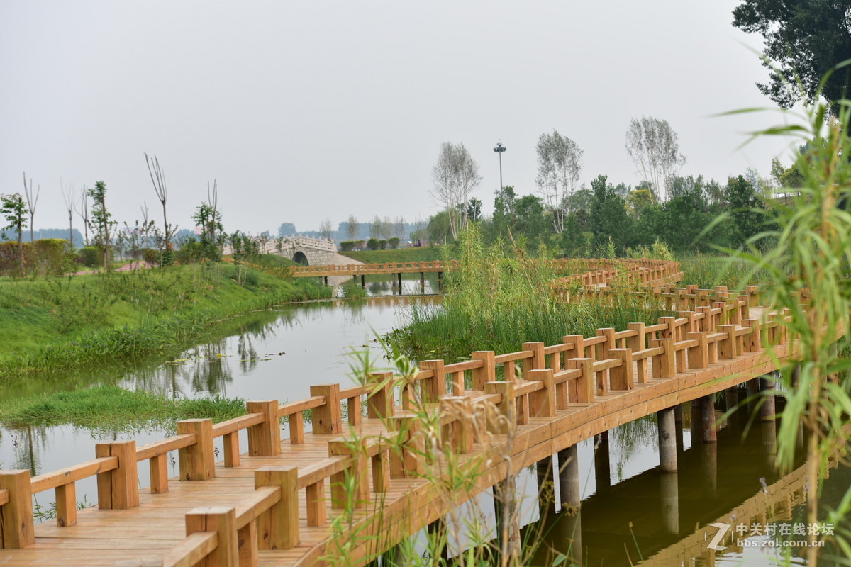 D750试拍，无后期。