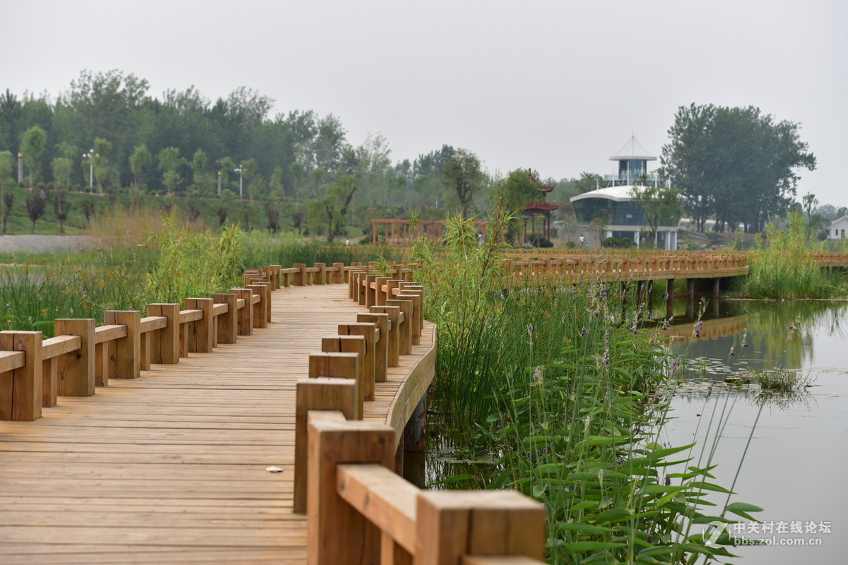 D750试拍，无后期。