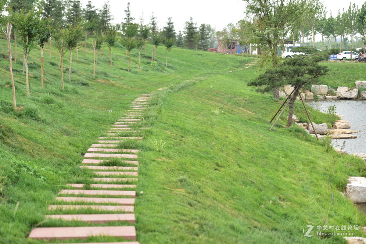 D750试拍，无后期。