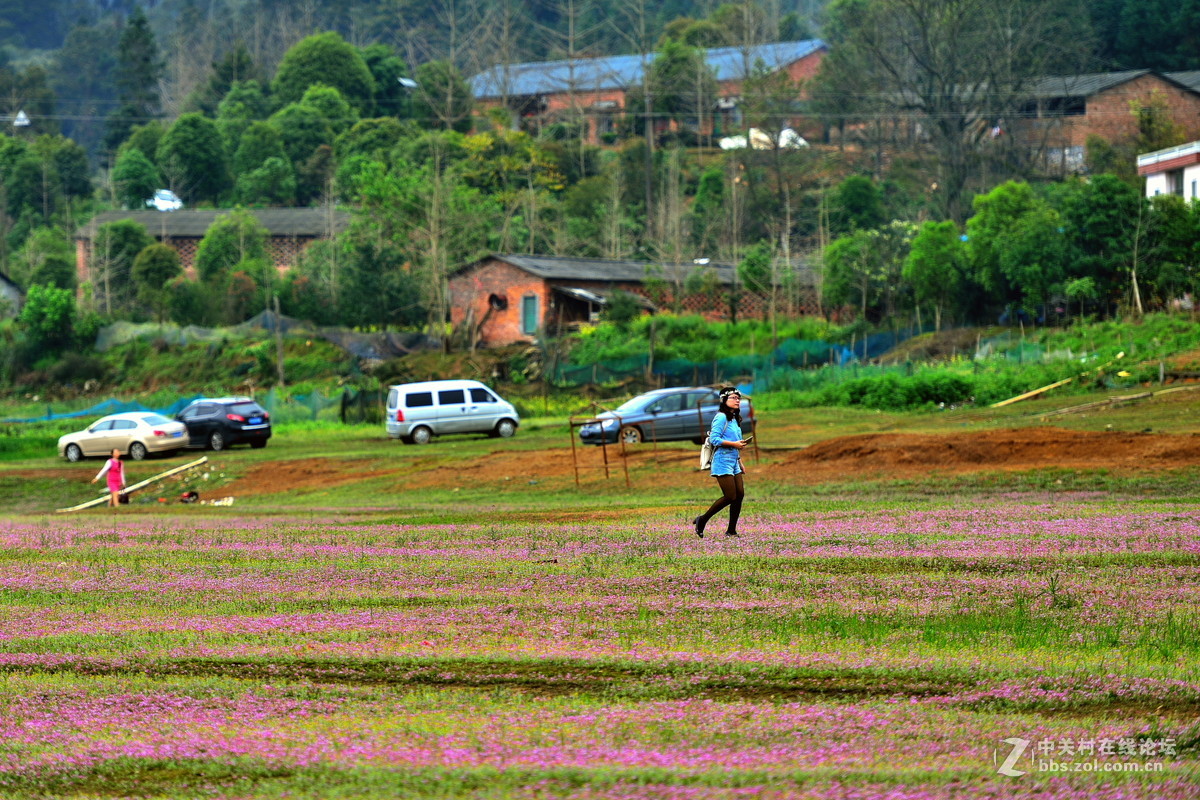 在那紫云英花开的地方专题拍摄之五