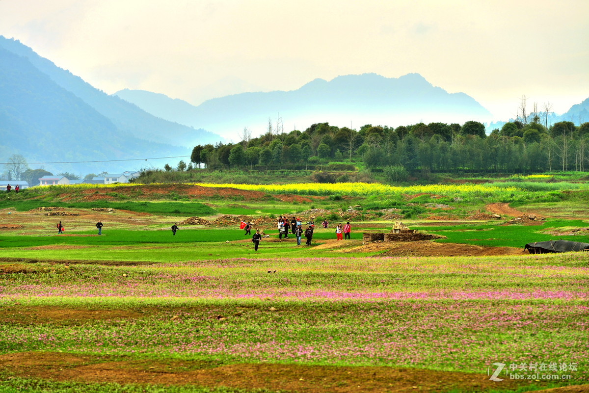 在那紫云英花开的地方专题拍摄之五