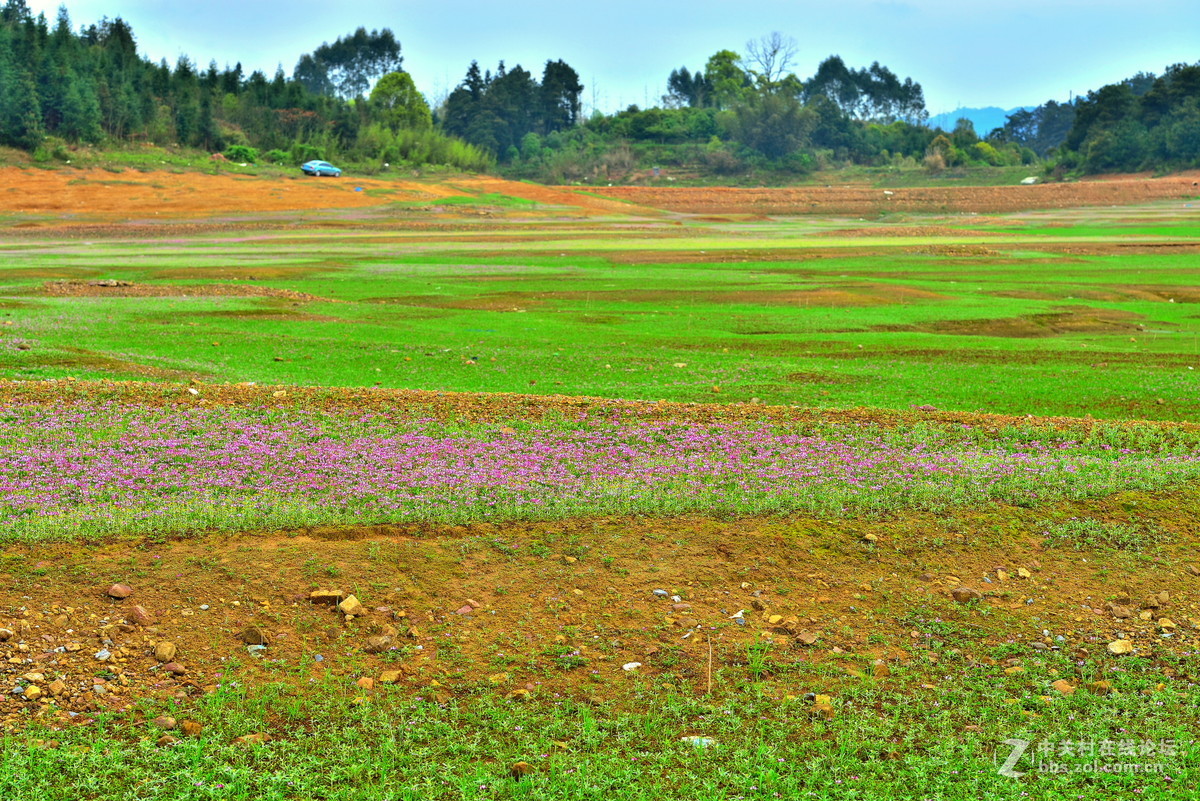 在那紫云英花开的地方专题拍摄之五