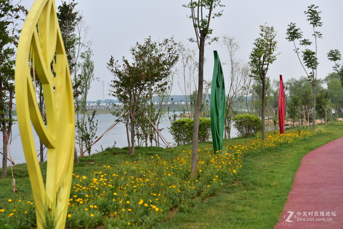 D750试拍，无后期。