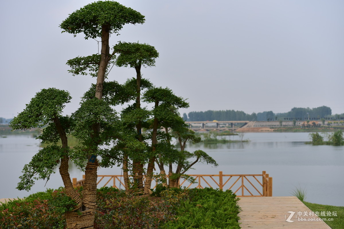 D750试拍，无后期。