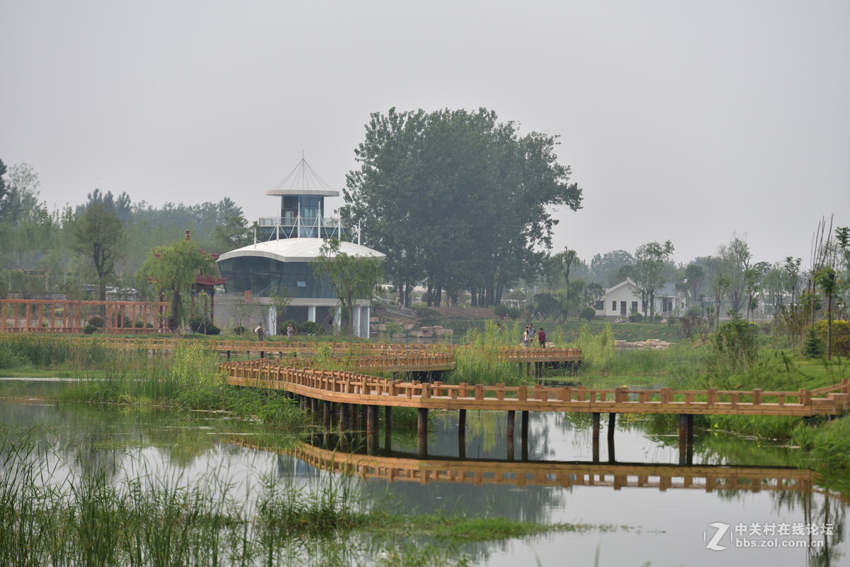 D750试拍，无后期。