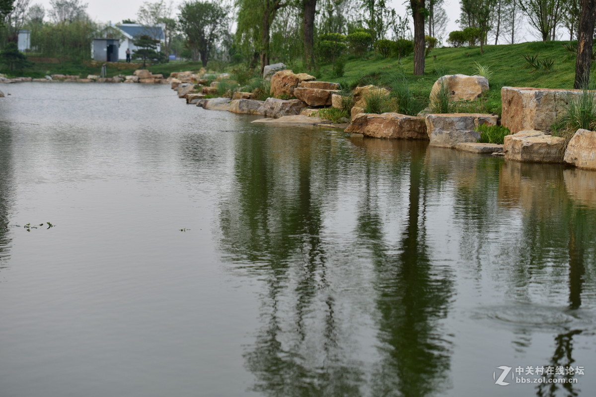 D750试拍，无后期。