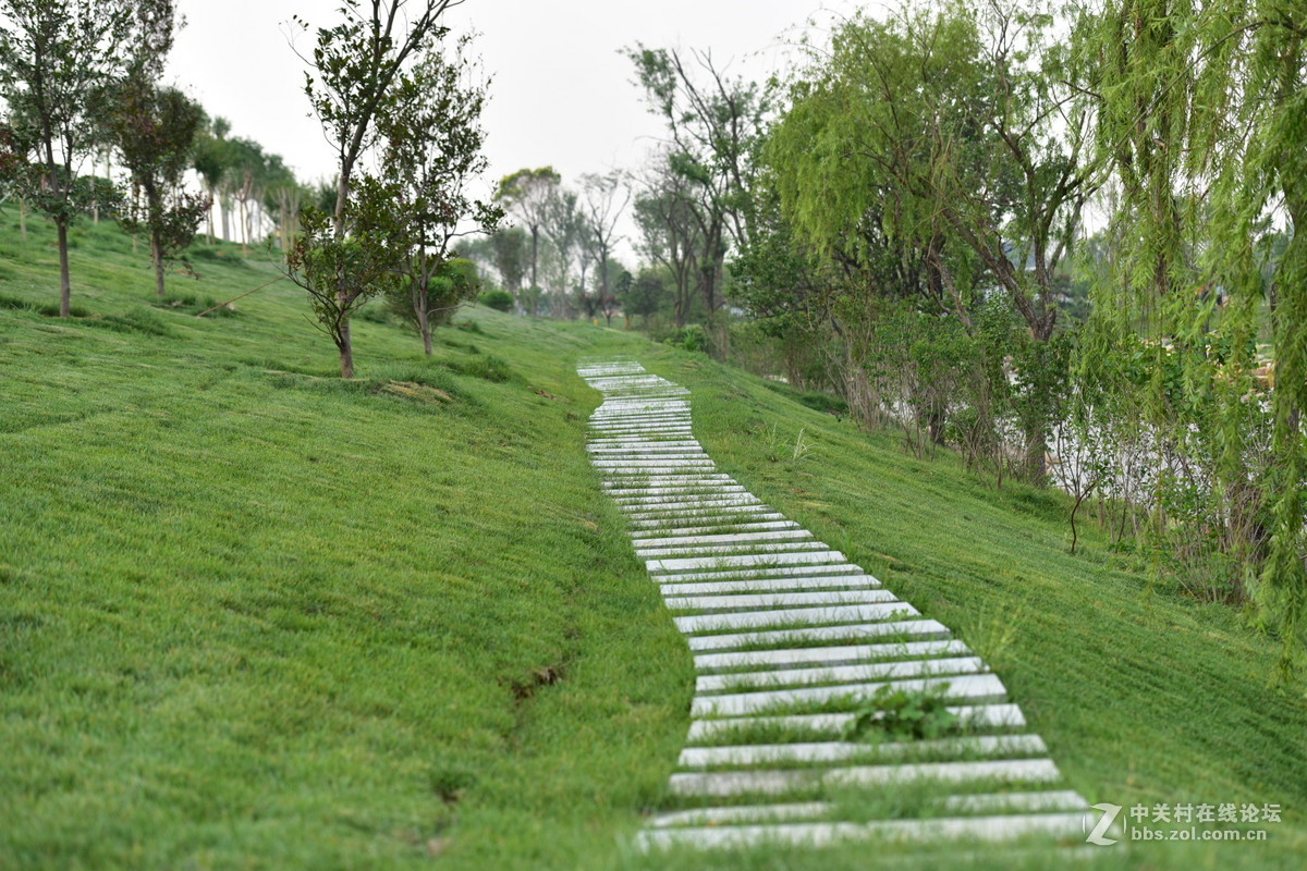 D750试拍，无后期。