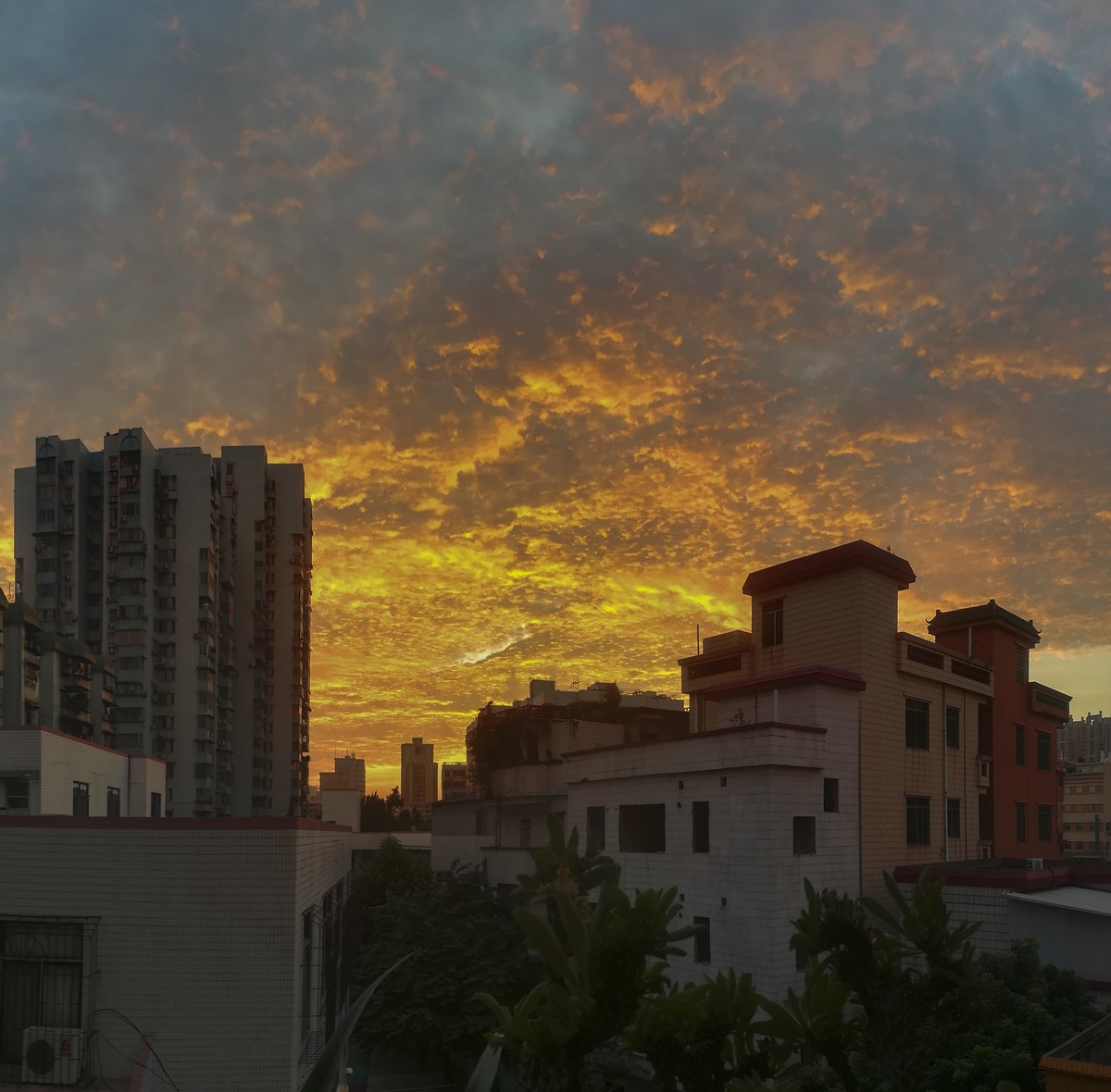 站在陽台向外拍