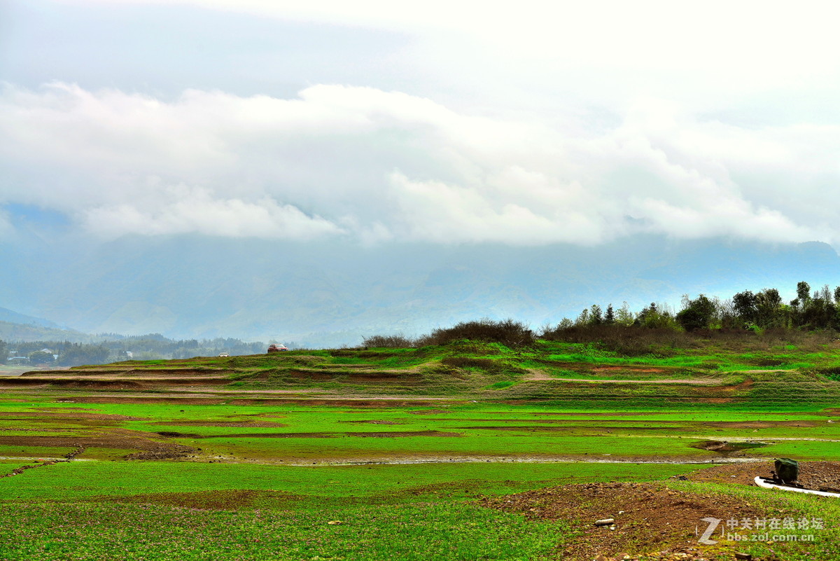 在那紫云英花开的地方专题拍摄之五