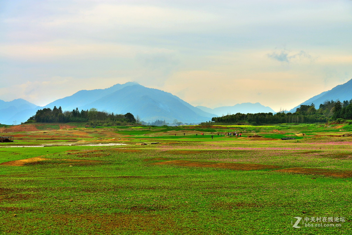 在那紫云英花开的地方专题拍摄之五