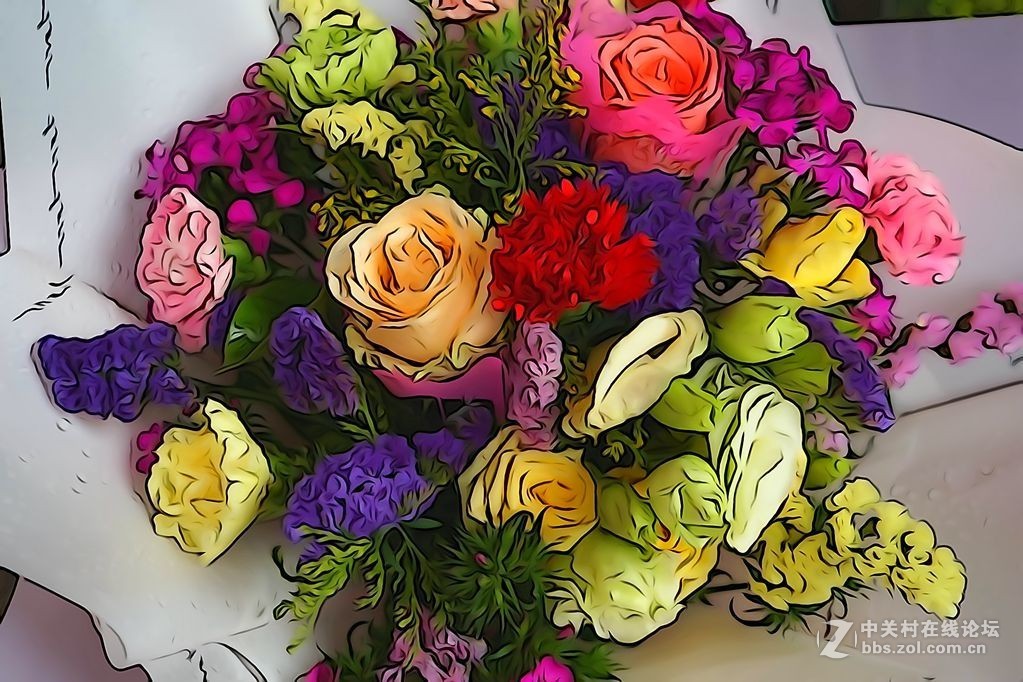 家里的植物和花店的花（插图效果）