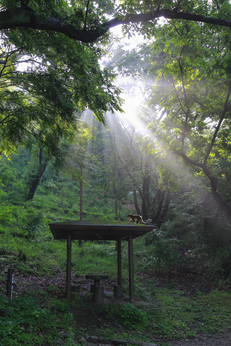 还在摸索阶段，师友多提意见----看看11-24之表现