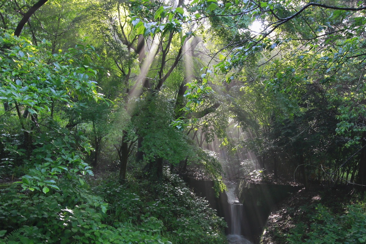 还在摸索阶段，师友多提意见----看看11-24之表现