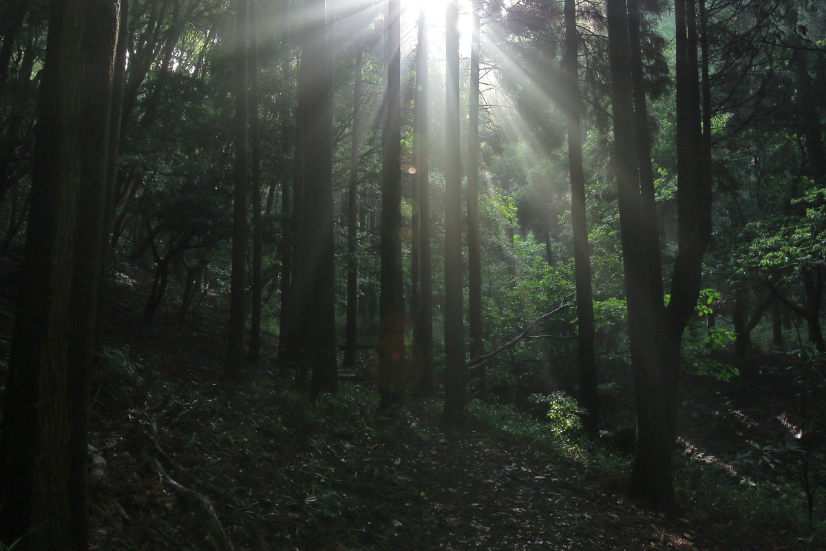 还在摸索阶段，师友多提意见----看看11-24之表现