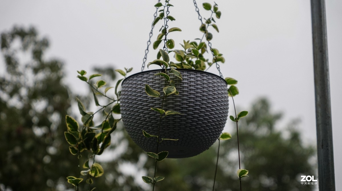 重庆南山-小有天农家乐小景