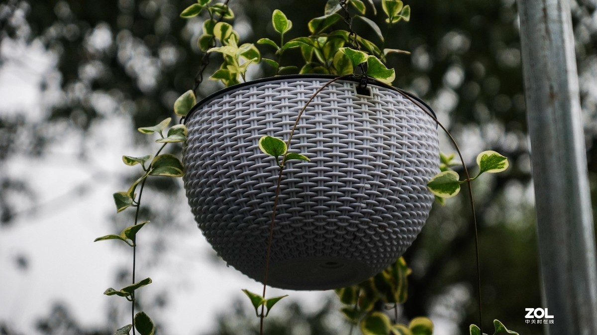 重庆南山-小有天农家乐小景