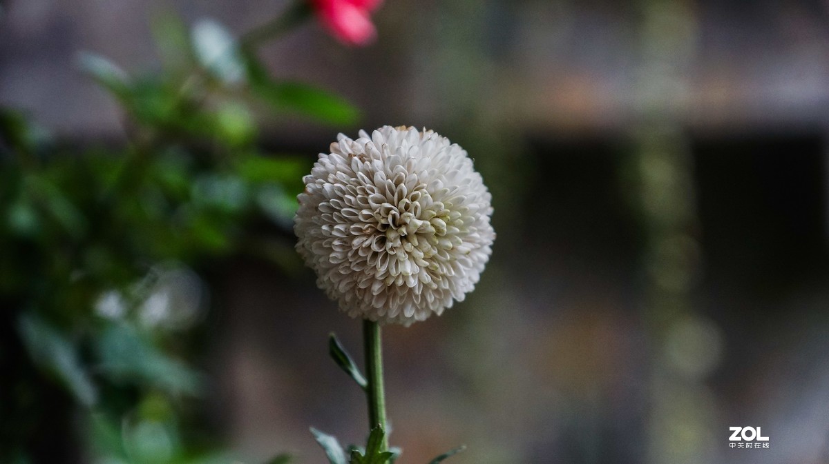 重庆南山-小有天农家乐小景