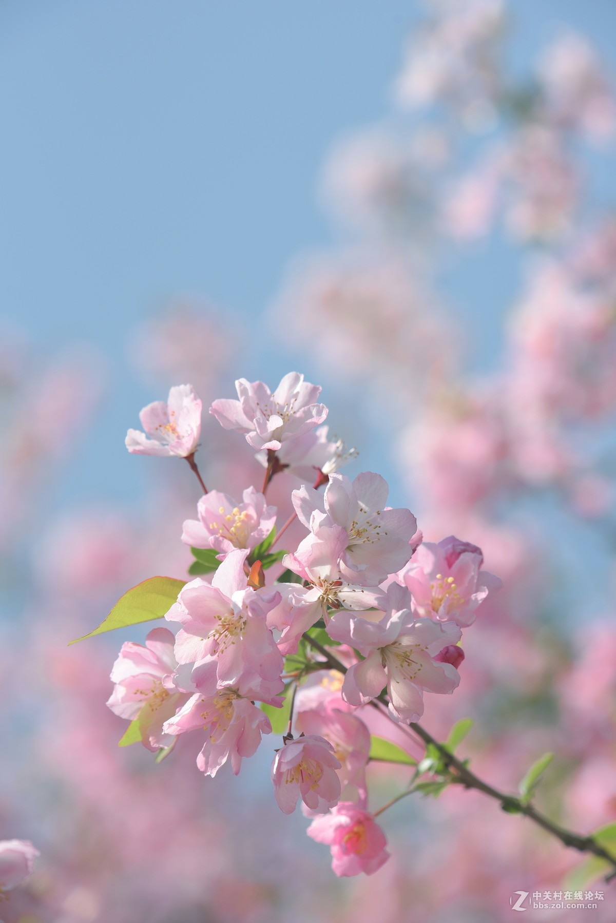 新手刚学用单反，请老师们批评指导
