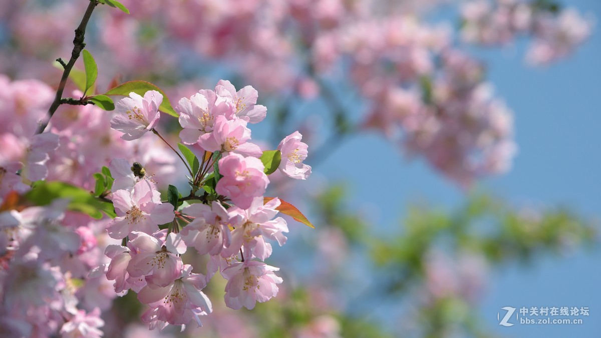 新手刚学用单反，请老师们批评指导