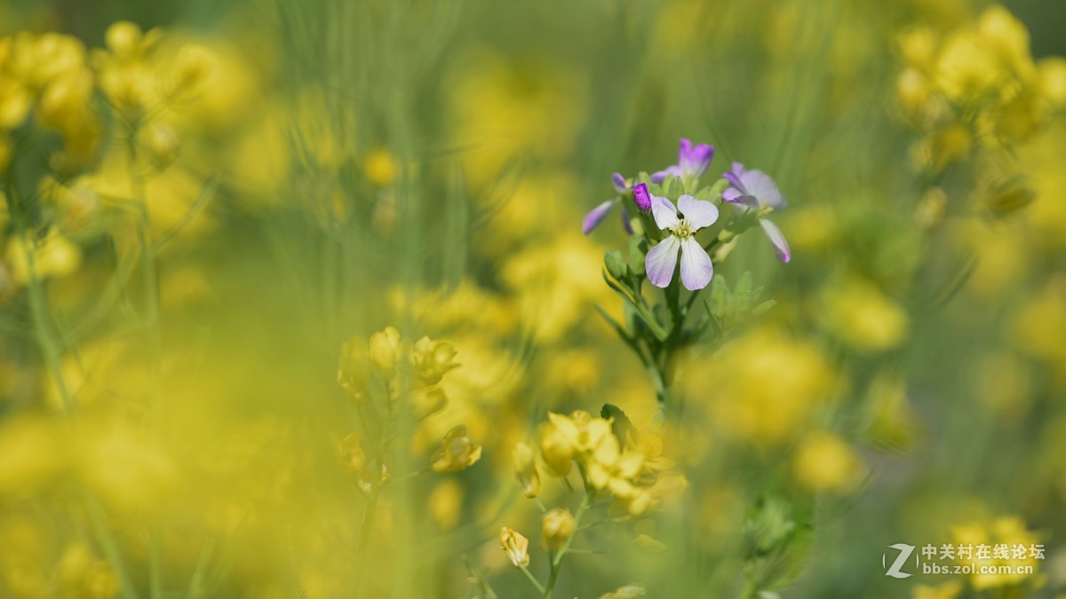 新手刚学用单反，请老师们批评指导