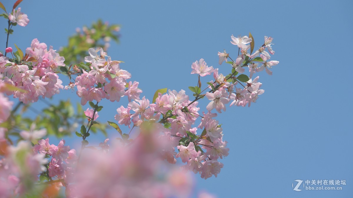 新手刚学用单反，请老师们批评指导
