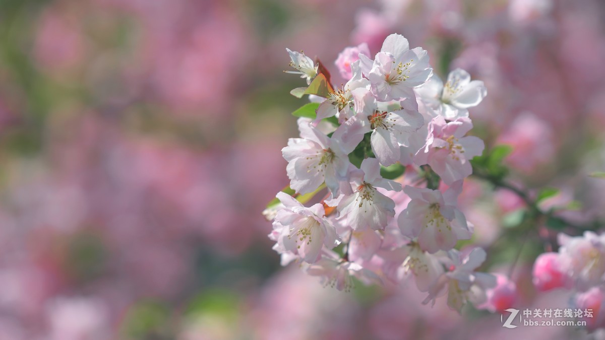 新手刚学用单反，请老师们批评指导