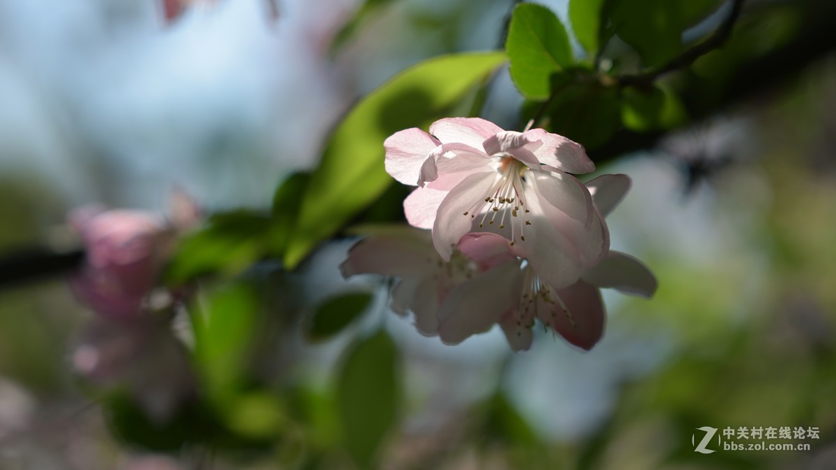 新手刚学用单反，请老师们批评指导