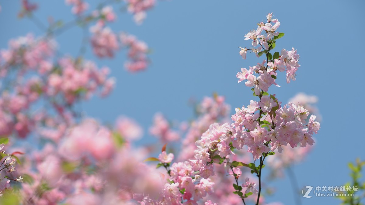 新手刚学用单反，请老师们批评指导