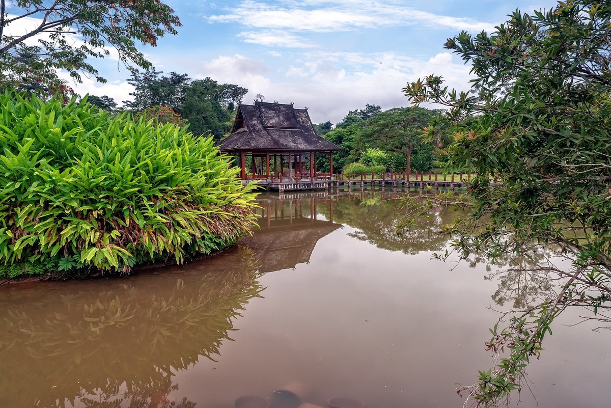 雲南西雙版納中科院植物園2