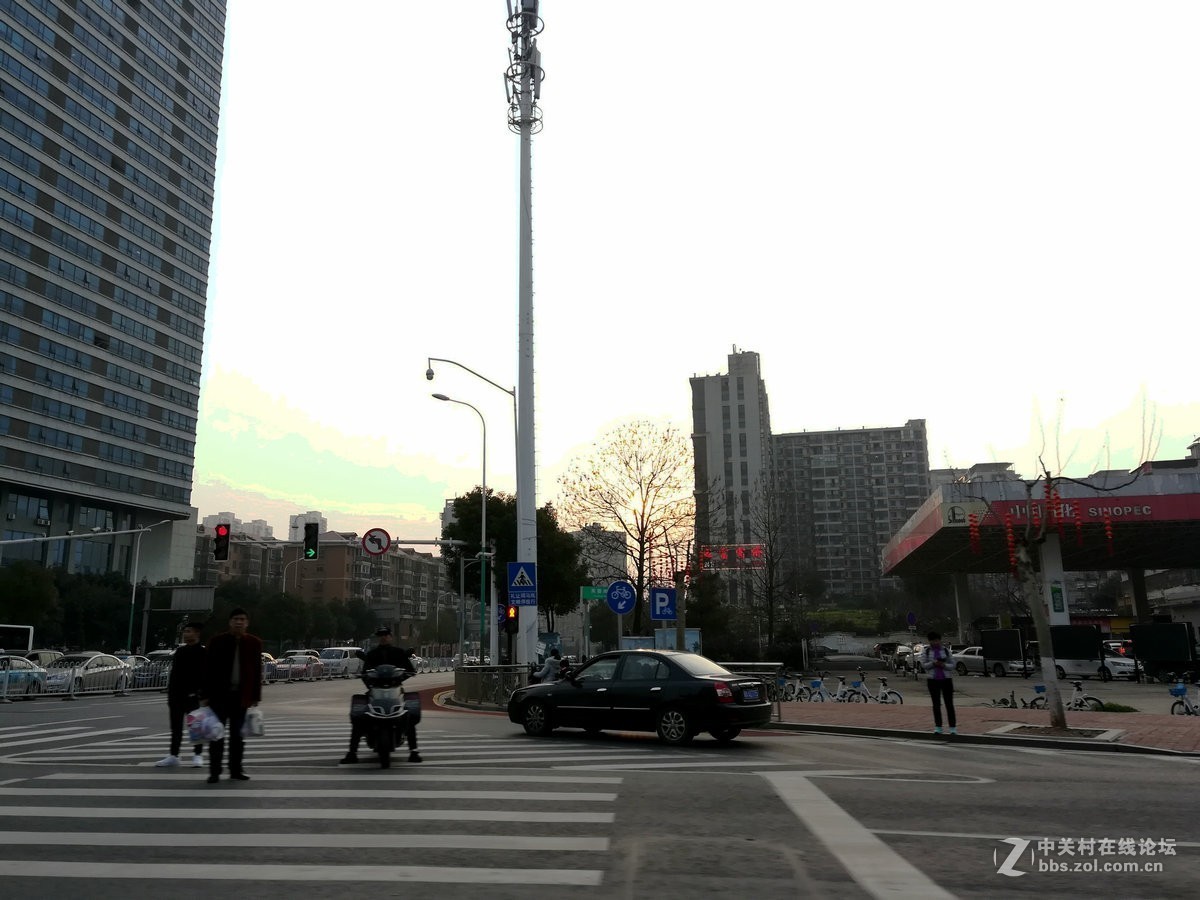 三夏大忙忆东沙