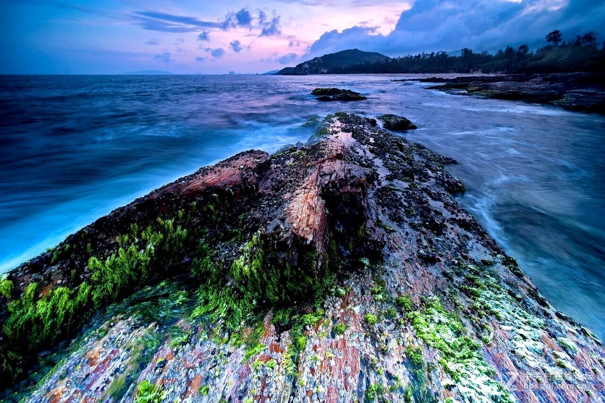 国产老蛙15广角微距超景深镜头测试完成