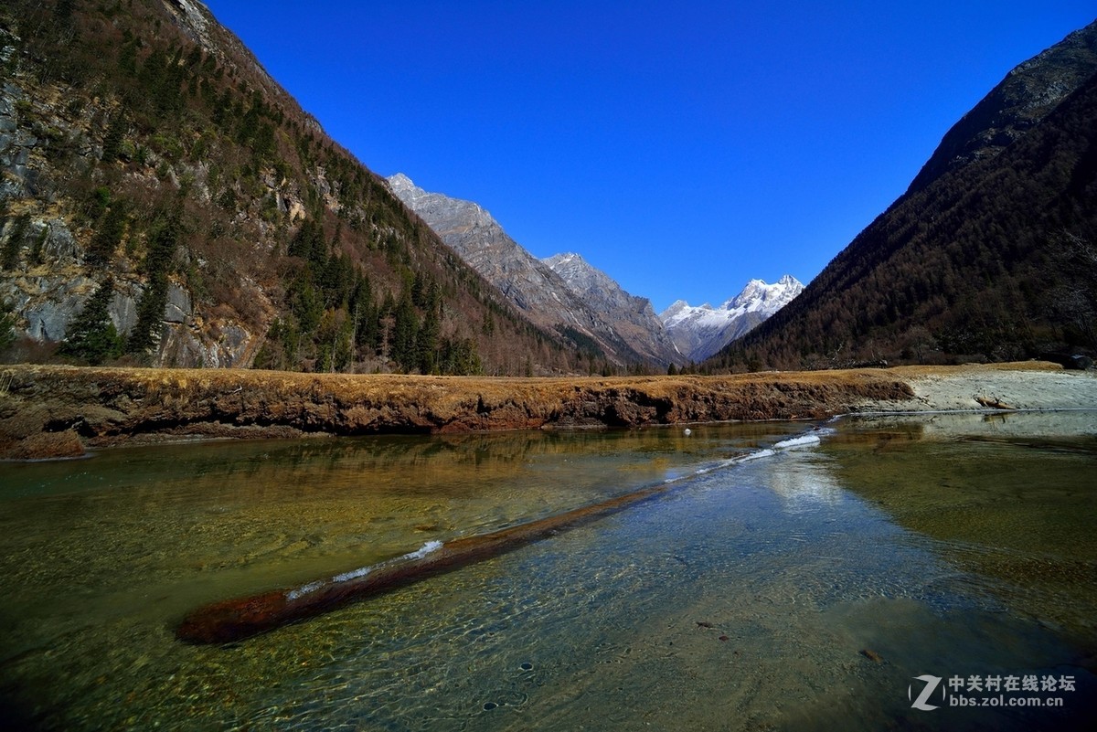 国产老蛙15广角微距超景深镜头测试完成