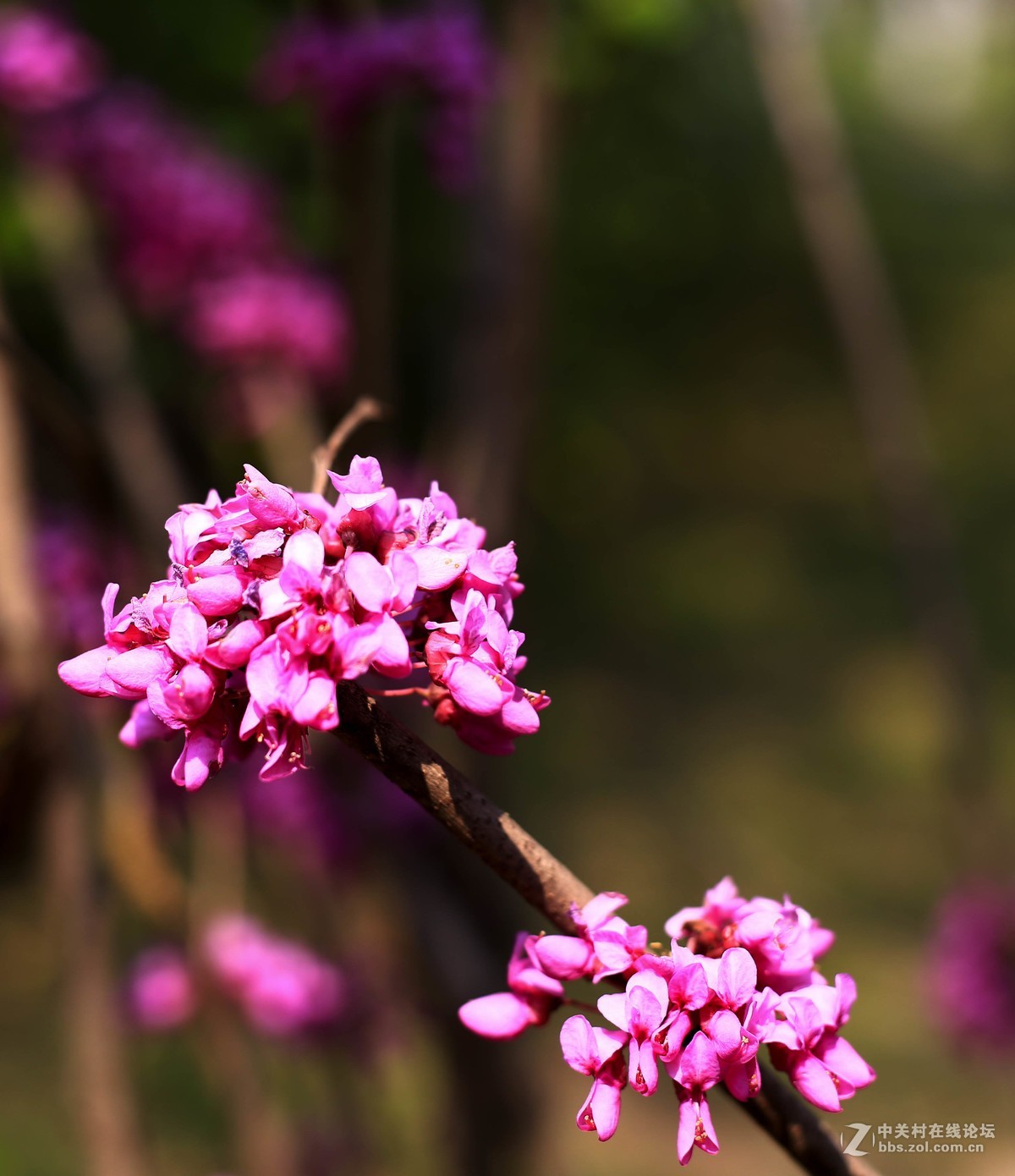 体验一下50mm1.8stm。