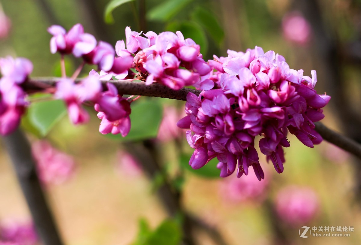 体验一下50mm1.8stm。