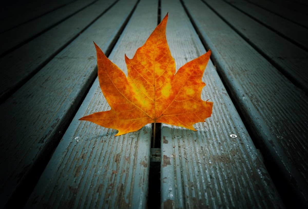 颜值即正义！X-T100 记录日常