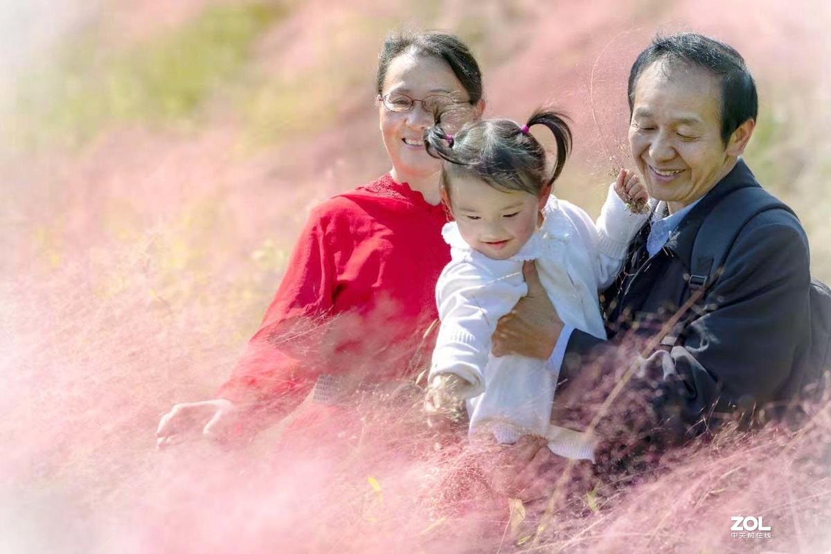 秋赏 . 粉黛乱子草