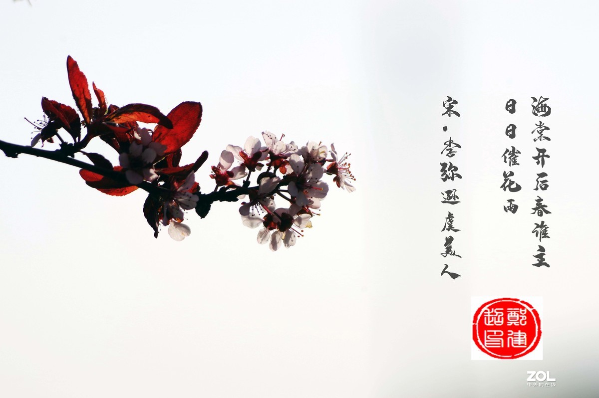 雨过天晴，百花盛开