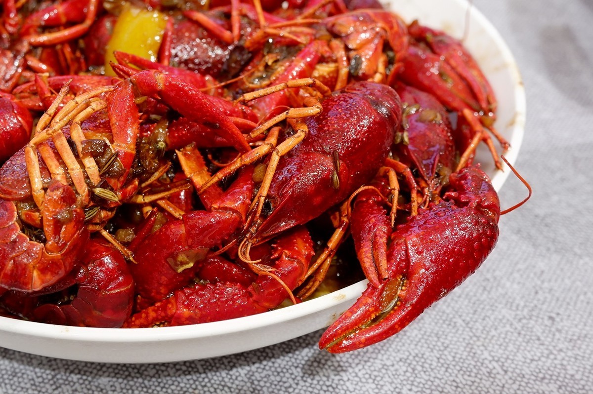 颜值即正义！X-T100 记录日常